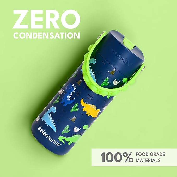 Elemental Insulated Kids Water Bottle, Stainless Steel Water Bottle with Straw Lid & Pop-It Handle, Leak-Proof Water Bottles for School, Boys or Girls, Travelling and Sports, 18oz - Dinosaur