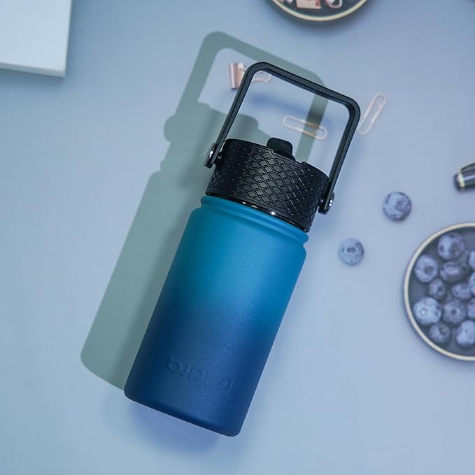 BJPKPK Insulated Water Bottle with Straw Lid, 15oz Cute Water Bottles, Stainless Steel Metal Thermo, Reusable BPA Free Leak Proof Tumblers, Cups,Vast