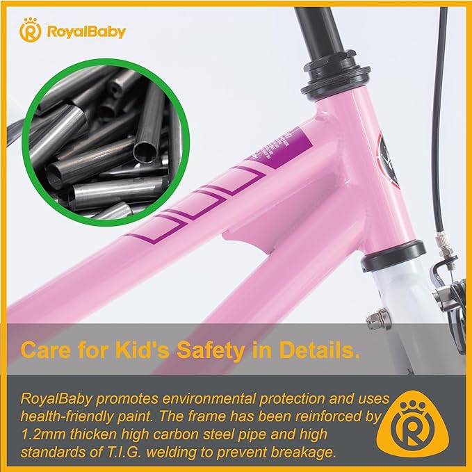 RoyalBaby Kids Bike EZ Freestyle Training Free Balance to Pedal Easy Learning Bicycle, 12-18 Inch for Toddlers to Big Kids