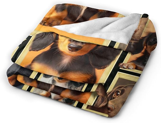 Dachshund Blanket Fleece Soft Warm Plush Cute Wiener Dog Animal Throw Blanket Lightweight Plush Fuzzy Cozy Sausage Dog Blankets for Lover Kids Adult Suitable for Couch Sofa Bed 50"X40"
