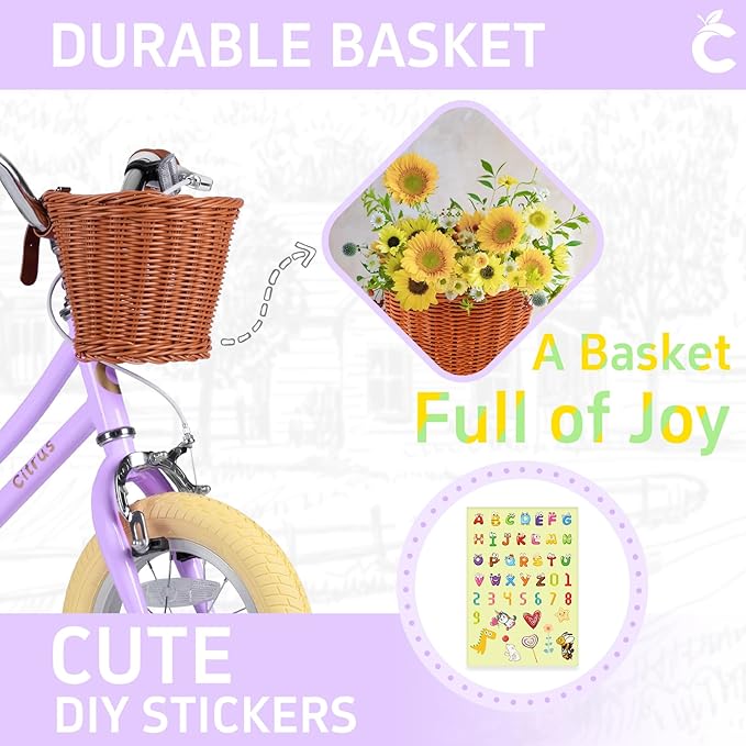 Girls Bike for Age 2-12 Years Old Kids Toddlers 12 14 16 18 20 Inches Retro Bicycles with Training Wheels Basket Bell Ring, Multiple Colors