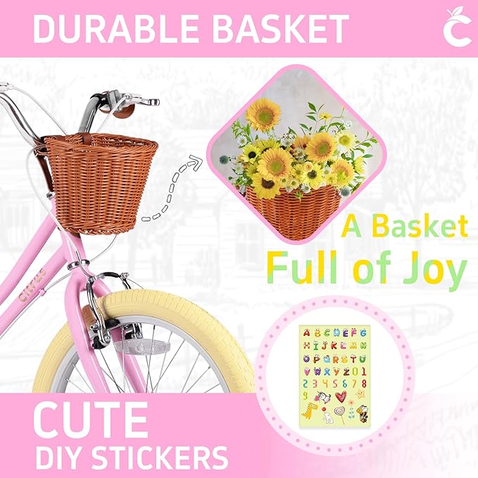 Girls Bike for Age 2-12 Years Old Kids Toddlers 12 14 16 18 20 Inches Retro Bicycles with Training Wheels Basket Bell Ring, Multiple Colors