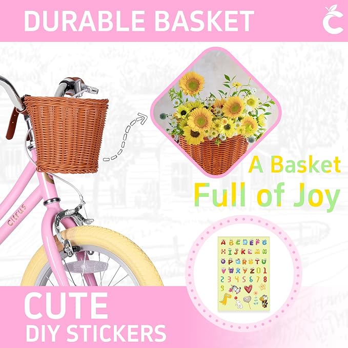 Girls Bike for Age 2-12 Years Old Kids Toddlers 12 14 16 18 20 Inches Retro Bicycles with Training Wheels Basket Bell Ring, Multiple Colors