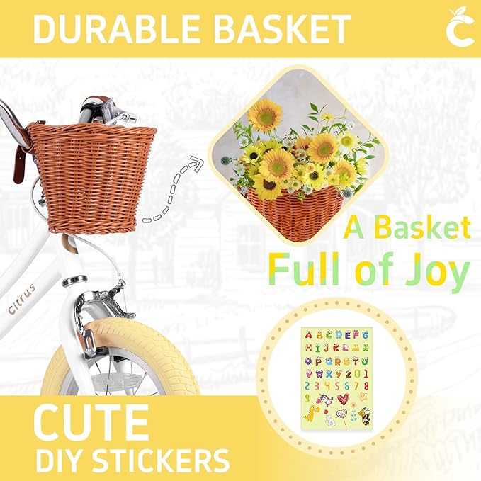 Girls Bike for Age 2-12 Years Old Kids Toddlers 12 14 16 18 20 Inches Retro Bicycles with Training Wheels Basket Bell Ring, Multiple Colors