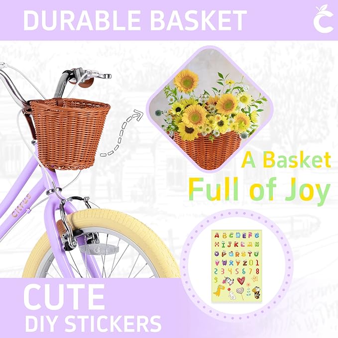 Girls Bike for Age 2-12 Years Old Kids Toddlers 12 14 16 18 20 Inches Retro Bicycles with Training Wheels Basket Bell Ring, Multiple Colors