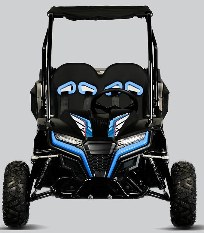 TrailMaster Cheetah 6 Youth Go-Kart - 163cc 5.5HP Engine, 4-Point Safety Belt, Remote Kill, Speed Governor, Suitable for Kids 6-12. with Pre-Assembled Version Now! (Plus, Blue)