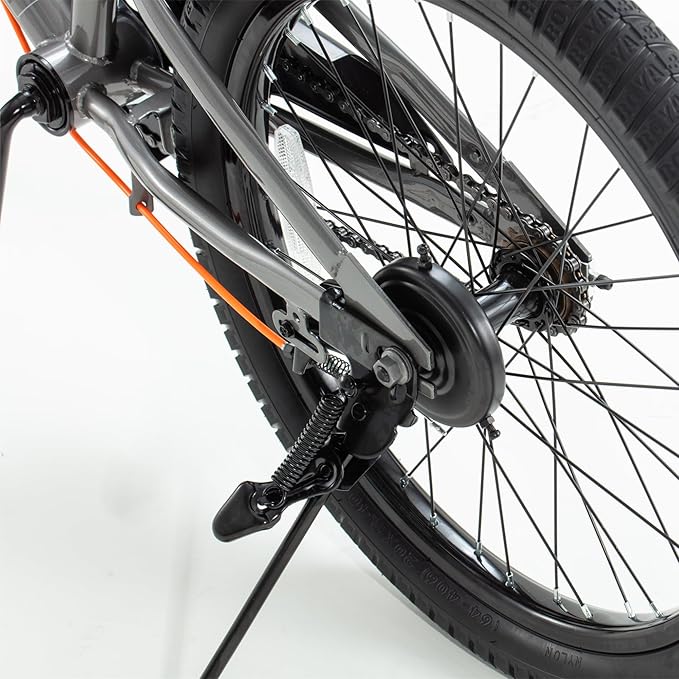 RoyalBaby Kids Bike EZ Balance to Pedal Dual Handbrake Toddlers Boys Girls Bicycle 12-20 Inch for Age 3-10 Years