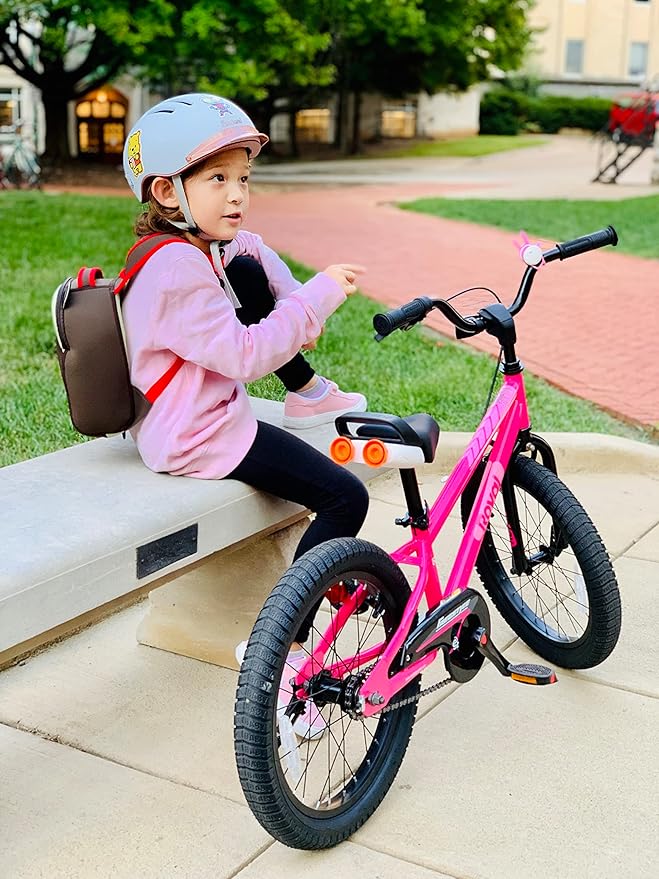 RoyalBaby Kids Bike EZ Balance to Pedal Dual Handbrake Toddlers Boys Girls Bicycle 12-20 Inch for Age 3-10 Years