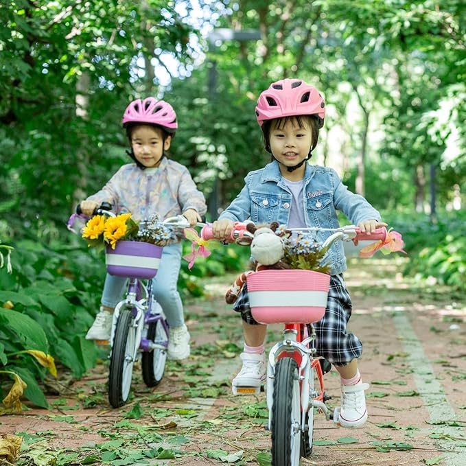 Royalbaby Princess Girls Kids Bike 12 14 16 18 20 Inch Children Bicycle with Basket for Age 3-12 Years