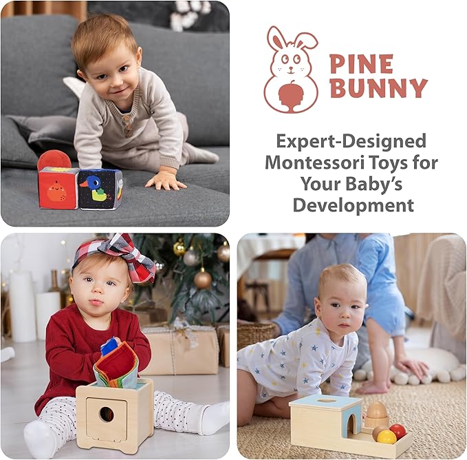 Pine Bunny Montessori Wooden 10-in-1 Toy Set for 7+ Months, Object Permanence Box, Egg and Cup, Tissue Box, Fabric Blocks, Scarf, Educational Learning Sensory Development Fine Motor Skills Baby Toys