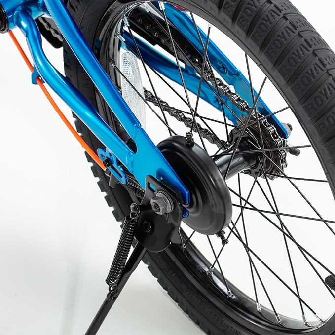 RoyalBaby Kids Bike EZ Balance to Pedal Dual Handbrake Toddlers Boys Girls Bicycle 12-20 Inch for Age 3-10 Years