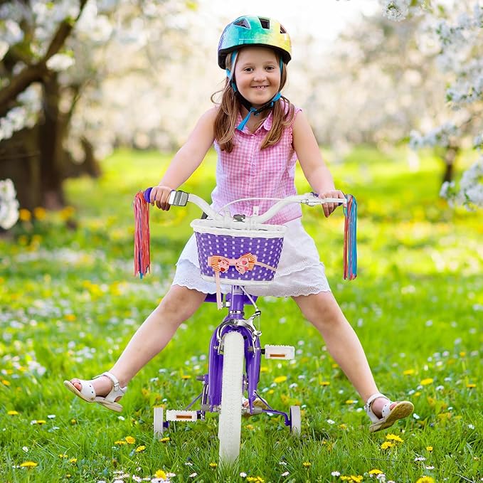 XJD Girls Bike for Toddlers and Kids Ages 2-12 Years Old,12 14 16 Inch Kids Bike with Training Wheels & Basket