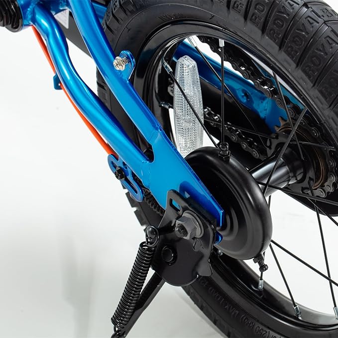 RoyalBaby Kids Bike EZ Balance to Pedal Dual Handbrake Toddlers Boys Girls Bicycle 12-20 Inch for Age 3-10 Years