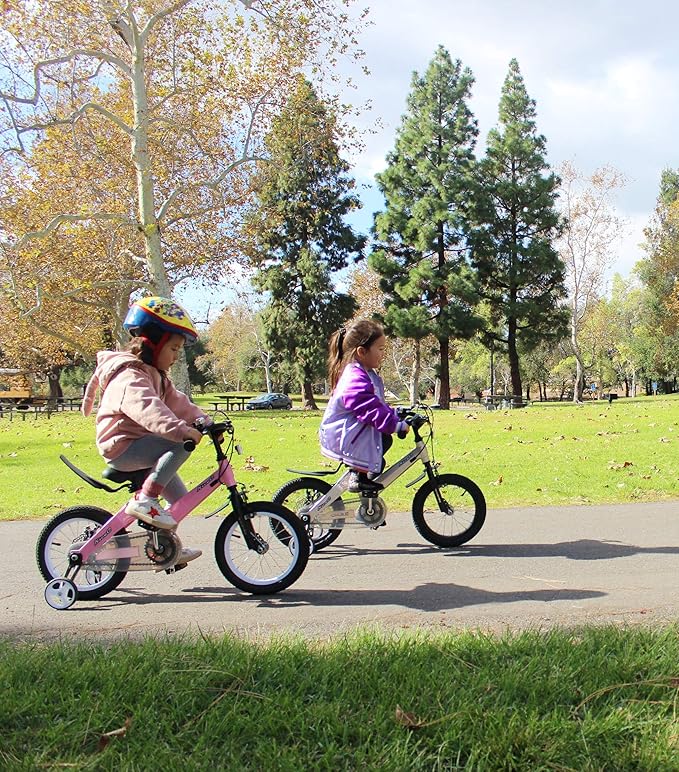 Nice C Training Wheel Bike, Kids Bike Boys Girls, BMX Mountain with Dual Disc Brake 12-14-16-18 inch