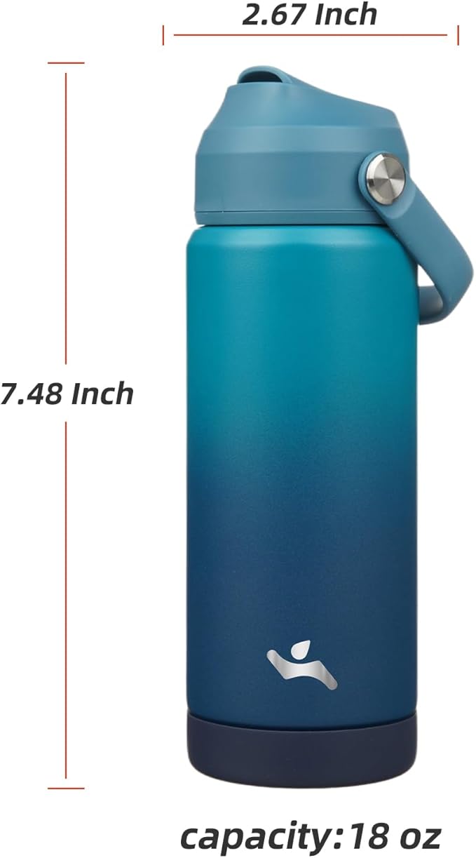 Insulated Water Bottle with Straw Lid,18 oz Stainless Steel Vacuum Metal Bottle with Silicone Handle,Vast