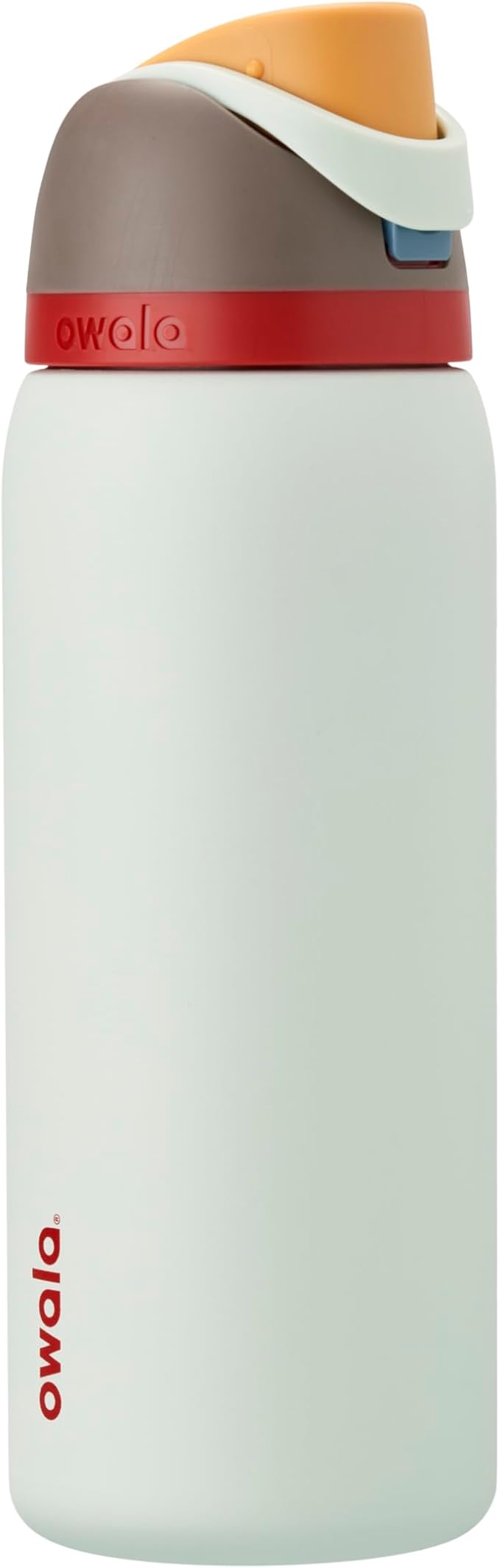 Owala FreeSip Insulated Stainless Steel Water Bottle with Straw for Sports, Travel, and School BPA-Free Sports Water Bottle, 32 oz, Boneyard