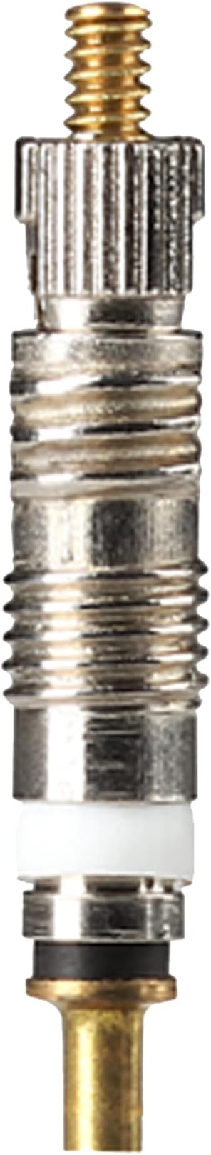 Presta Valve Cores with Removal Tool and 10 Cores and 10 Caps for Tubeless Tires. Mountain, Road Bike and BMX Compatible. Silver 10 Pack.