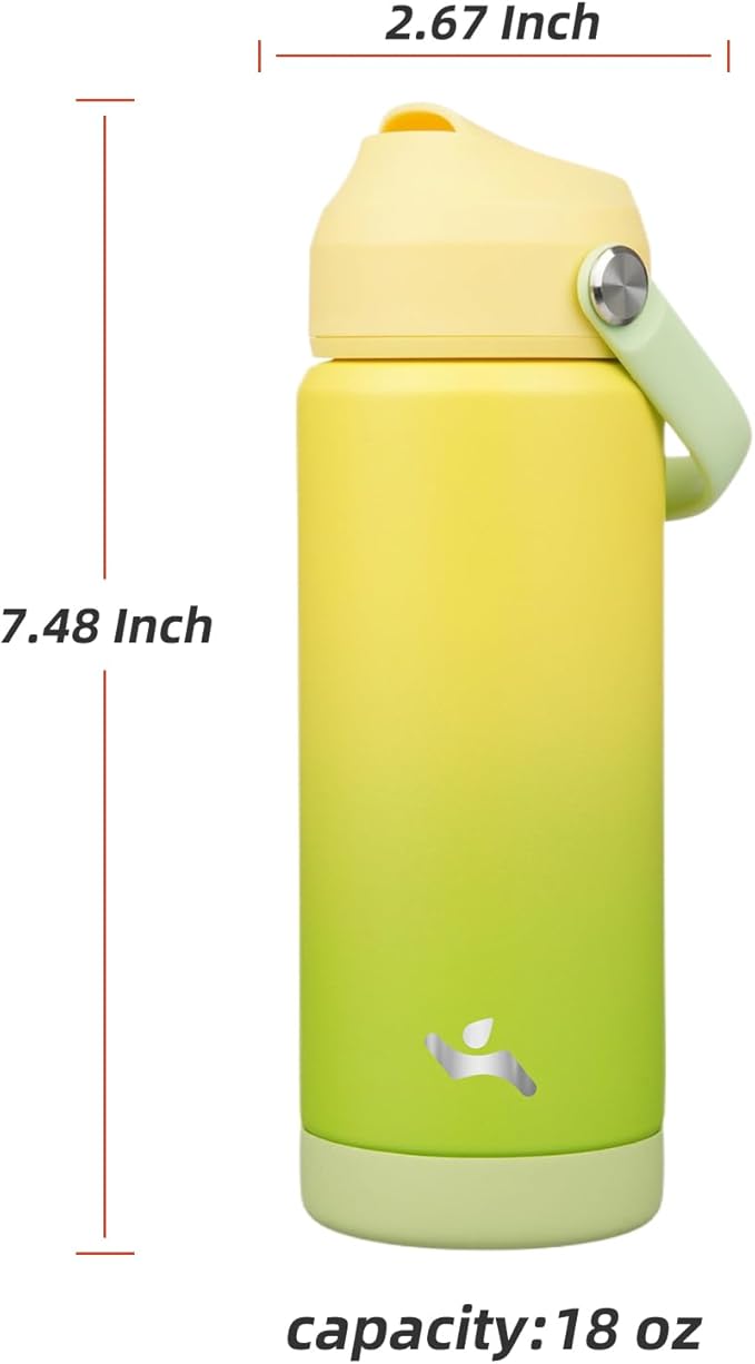 Insulated Water Bottle with Straw Lid,18 oz Stainless Steel Vacuum Metal Bottle with Silicone Handle,Lime