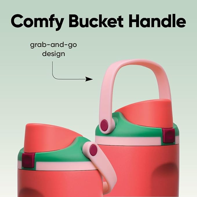 Owala FreeSip Sway Insulated Stainless Steel Water Bottle with Two-Way Spout, Built-In Straw and Bucket Handle, Made for Travel, School, and Sports, 30oz, BPA Free, Leak Proof, Strawberry Fields