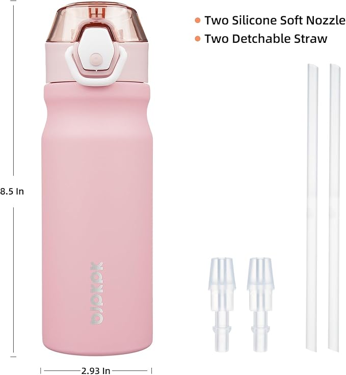 BJPKPK Water Bottle With Straw 18oz Insulated Water Bottles Reusable Stainless Steel Metal Thermo With Leak Proof Lockable Lid And Carry Handle,Light Pink