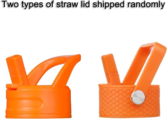 BJPKPK Insulated Water Bottle with Straw Lid, 15 oz Stainless Steel Metal Water Bottles, Reusable Leak Proof BPA Free Thermo, Flask, Cups - Lemon