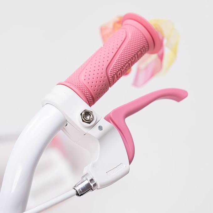 RoyalBaby Girls Bike Classic & EZ Kids Bike, Balance and Pedal Bicycle, 12 14 16 18 20 Inch Toddlers to Big Kids 3-10 Years