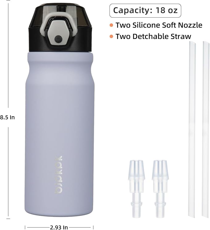 BJPKPK Water Bottle with Straw 18oz Insulated Water Bottles Reusable Stainless Steel Metal Thermal Flask with Leak Proof Lockable Lid and Carry Handle,Iceberg