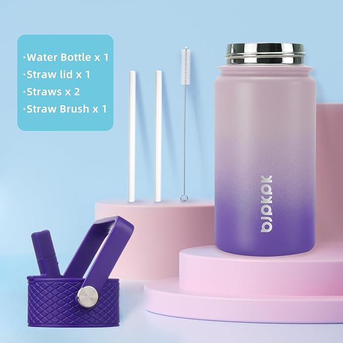 BJPKPK Insulated Water Bottle with Straw Lid, 15 oz Stainless Steel Metal Water Bottles, Reusable Leak Proof BPA Free Thermo, Flask, Cups - Violet