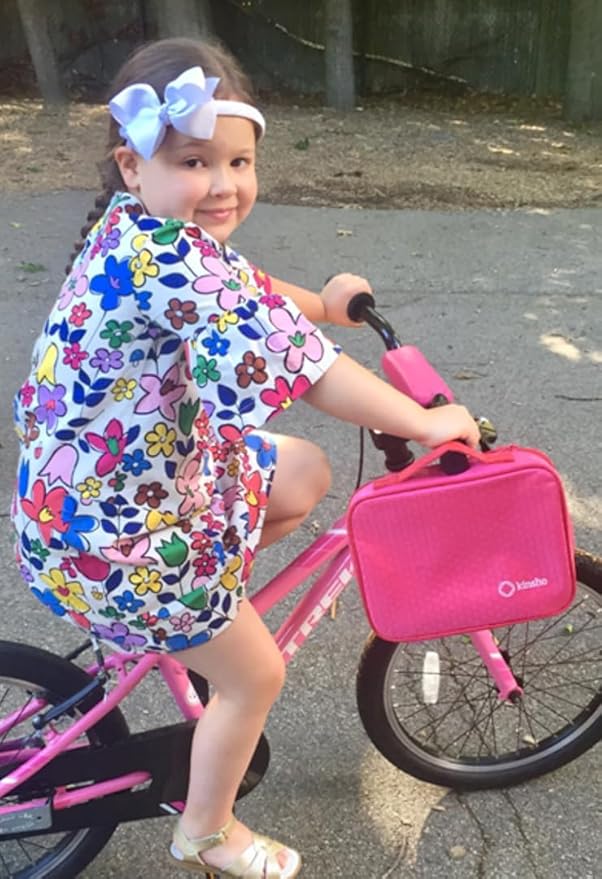 Bento Box with Lunch Bag and Ice Pack Set | Snack Containers Boxes for Kids Girls Adults | 6 Compartments Divided Portion Container Boxes Insulated Bags for School Daycare Lunches, BPA Free, Pink