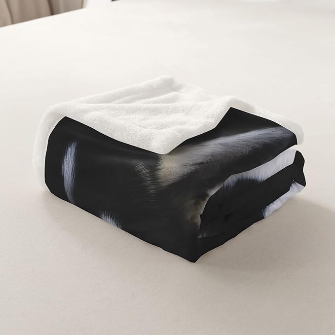 Dog Sherpa Blanket Cute Pet Dog Fleece Throw Blanket for Sofa Couch Bed 3D Animal Theme Plush Blanket Siberian Husky Breathable Fuzzy Blanket Room Decor Twin 60x80 Inch