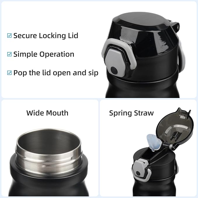 Insulated Water Bottle with Straw and Carry Loop,18 oz Stainless Steel Double Wall Vaccum Metal Water Flask with Leak-proof Lid,Black