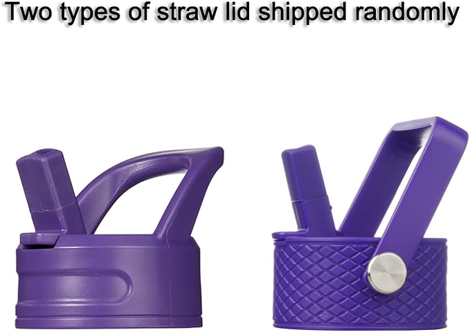 BJPKPK Insulated Water Bottle with Straw Lid, 15 oz Stainless Steel Metal Water Bottles, Reusable Leak Proof BPA Free Thermo, Flask, Cups - Violet