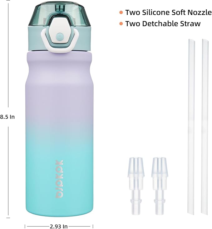 BJPKPK Water Bottle with Straw 18oz Insulated Water Bottles Reusable Stainless Steel Metal Thermal Flask with Leak Proof Lockable Lid and Carry Handle,Lavender Green