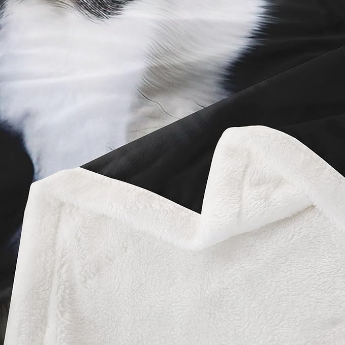 Dog Sherpa Blanket Cute Pet Dog Fleece Throw Blanket for Sofa Couch Bed 3D Animal Theme Plush Blanket Siberian Husky Breathable Fuzzy Blanket Room Decor Queen 90x90 Inch