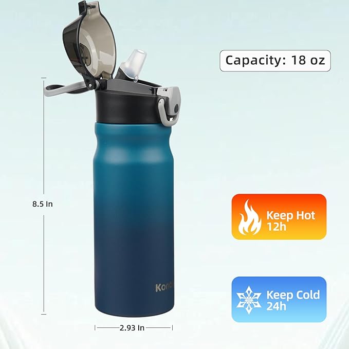 Insulated Water Bottle with Straw and Carry Loop,18 oz Stainless Steel Double Wall Vaccum Metal Water Flask with Leak-proof Lid,Indiego Black
