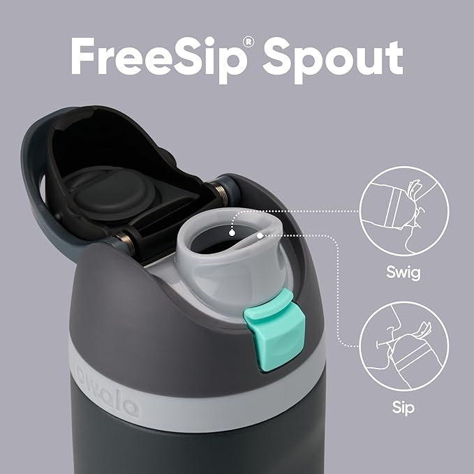 Owala FreeSip Insulated Stainless Steel Water Bottle with Straw for Sports, Travel, and School BPA-Free Sports Water Bottle, 24 oz, Foggy Tide