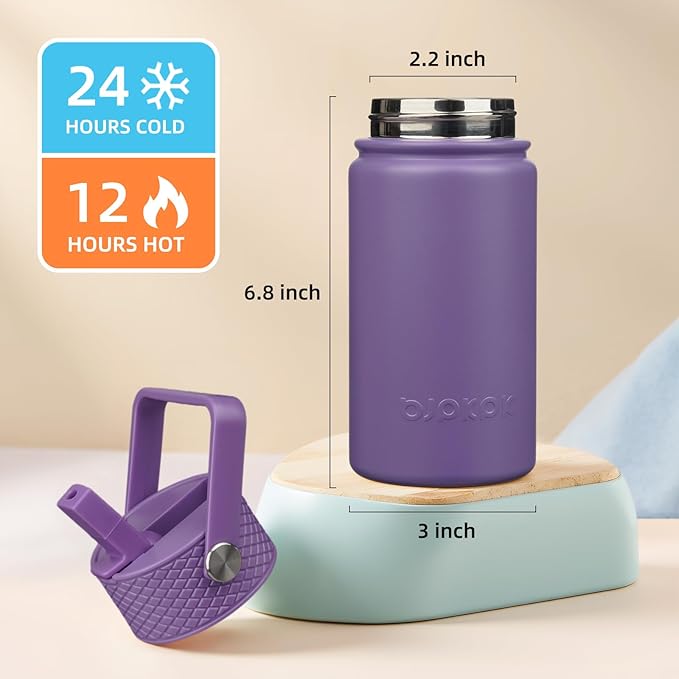 BJPKPK Insulated Water Bottle with Straw Lid, 15oz Cute Water Bottles, Stainless Steel Metal Thermo, Reusable BPA Free Leak Proof Tumblers, Cups,Iris