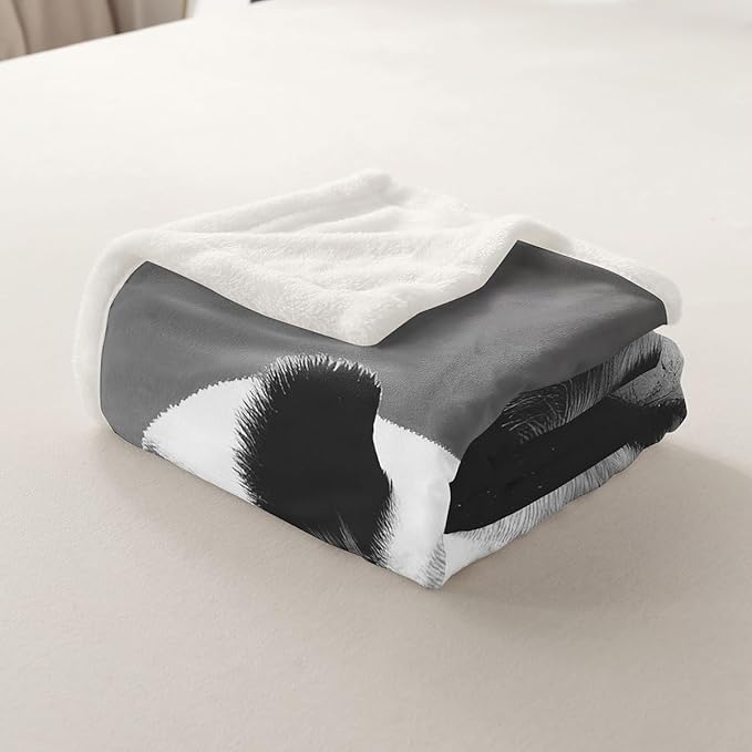 Sleeping Panda Sherpa Blanket - Cute Animal Pattern Fleece Throw for Sofa, Couch, Bed - Ultra Soft Giant Panda Plush Blanket - 50x60 Inch Fuzzy Decor Throw