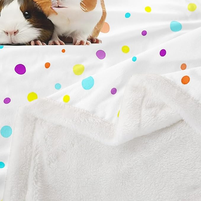 Guinea Pig Fleece Cute Cavy Sherpa Plush Blanket - Cartoon Decorative Lovely Pet Animal Colorful Polka Dots Fuzzy 60x80 Inch for Girls & Boys Kids Sofa Bed Couch Twin