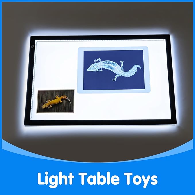 20 Pcs Animal Xrays and Picture Cards - Veterinary Toys & Educational Science Kit for Kids, Explore The Fascinating World of Animal Skeletons