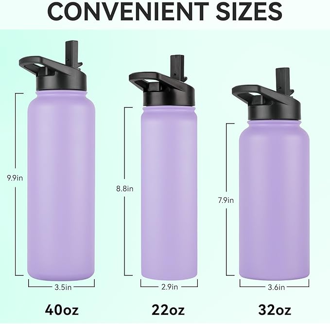 DOMICARE Insulated Water Bottle, 22 oz Vacuum Insulated Stainless Steel Reusable Sports Bottle with Straw Lid & Spout Lid for Travel, Camping, Bike, Leakproof, Purple, 4 Pack