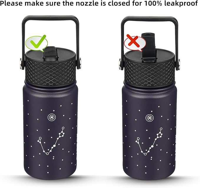 BJPKPK Water Bottle with Straw Lid, 15 oz Insulated Water Bottle, Stainless Steel Metal Water Bottles, Reusable Leak Proof BPA Free Thermo, Flask, Cups,Constellation-Pisces