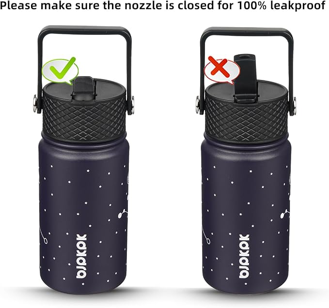 BJPKPK Water Bottle with Straw Lid, 15 oz Insulated Water Bottle, Stainless Steel Metal Water Bottles, Reusable Leak Proof BPA Free Thermo, Flask, Cups,Constellation-Cancer