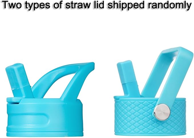 BJPKPK Insulated Water Bottle with Straw Lid, 15 oz Stainless Steel Metal Water Bottles, Reusable Leak Proof BPA Free Thermo, Flask, Cups - Mint