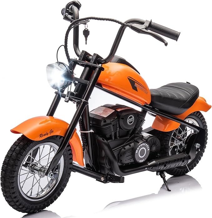 Electric Dirt Bike for Kids, 24V 9AH Ride on Toy for Big Kids, 250W Strong Motor 14MPH Fast Speed Electric Retro Off-Road Motorcycle, LED Lights, Orange