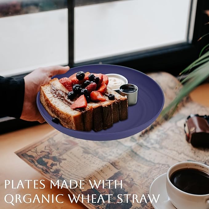 Homienly Dessert Plates Set of 8-8 inch Plate Set Wheat Straw Plates for Kitchen Unbreakable Plate for Dessert, Appetizer,Pancakes, Microwave & Dishwasher Safe Kitchen Essentials(Blue Series)