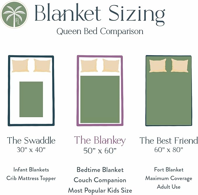 Personalized Dinosaur Blanket for Kids, Ships Next Day - Dino Throw Blanket for Boys and Girls, Toddler Bed, Room & Bedroom Decor - Educational Blankets for Children - USA Based (60x80, Sherpa)