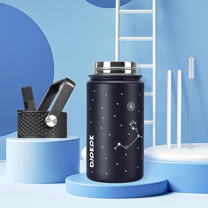 BJPKPK Water Bottle with Straw Lid, 15 oz Insulated Water Bottle, Stainless Steel Metal Water Bottles, Reusable Leak Proof BPA Free Thermo, Flask, Cups,Constellation-Leo