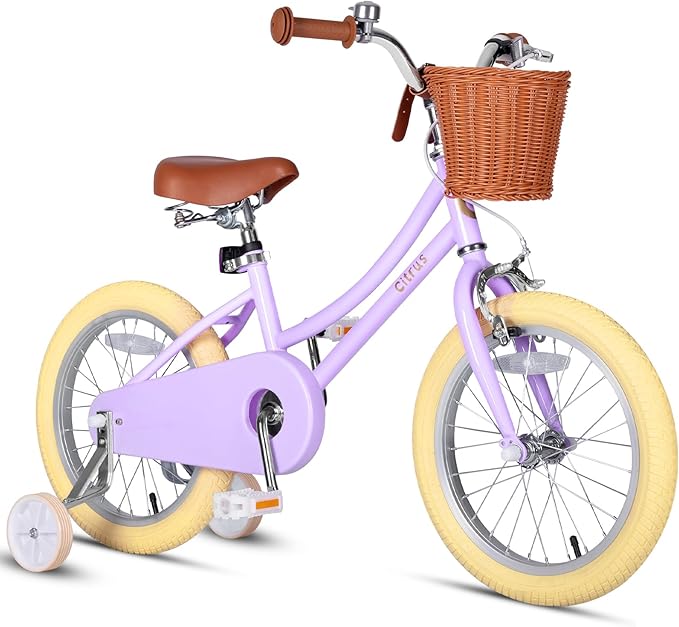 Girls Bike for Age 2-12 Years Old Kids Toddlers 12 14 16 18 20 Inches Retro Bicycles with Training Wheels Basket Bell Ring, Multiple Colors
