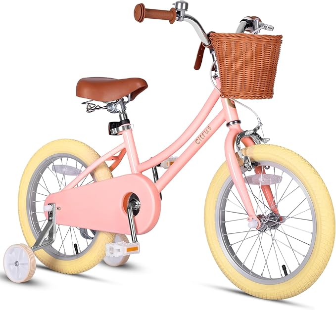 Girls Bike for Age 2-12 Years Old Kids Toddlers 12 14 16 18 20 Inches Retro Bicycles with Training Wheels Basket Bell Ring, Multiple Colors
